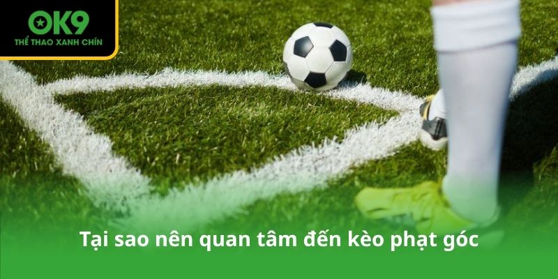 Tại sao nên quan tâm đến kèo phạt góc